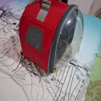 کیف حمل انواع پرندگان