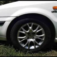 رینگ شاخ گوزنی