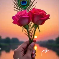 درخاست راهنمایی