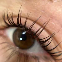 مژه|خدمات آرایشگری و زیبایی|پرند, فاز ۵|دیوار