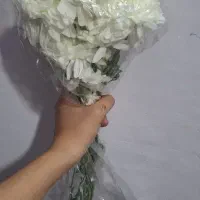 دسته گل طبیعی|گل و گیاه طبیعی|مشهد, مشکینی (شهرک غرب)|دیوار