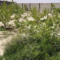 فروش-200-متر-باغچه-ویلایی-سندار