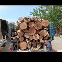 خرید انواع چوب و درخت|خدمات باغبانی و درختکاری|شوشتر, |دیوار