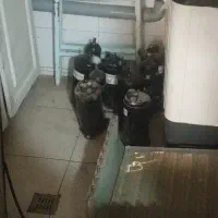 تعد ادی موتور کولر ۱۲۰۰۰|کولر گازی و فنکوئل|کهریزک, |دیوار