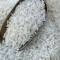 برنج دورود