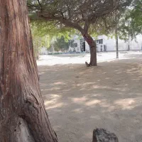 فروش یک اپارتمان