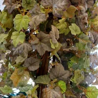 درختچه مصنوعی خارجی (فرانسوی)