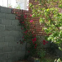 اجاره  خانه ویلای در بزنجانروزانه