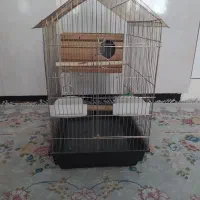 قفس|لوازم جانبی حیوانات|اسلام‌‌آباد غرب, |دیوار