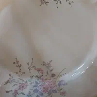 ظرف چینی|ظروف سرو و پذیرایی|شاهینشهر, شهرک گلدیس|دیوار