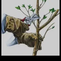 هرس کردن پیوند کوددهی