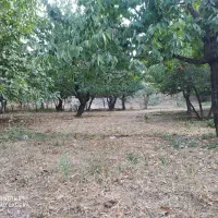 فروش زمین ۱۰۵۰ متری در طرق و ۲۱۰ متر مسکونی|فروش زمین و ملک کلنگی|مشهد, طرق|دیوار