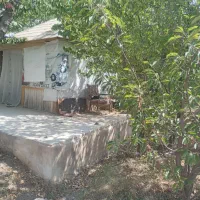 فروش باغ ۱۰۰۰ متری روستای  فشند|فروش زمین و ملک کلنگی|کرج, شاهین‌ویلا|دیوار