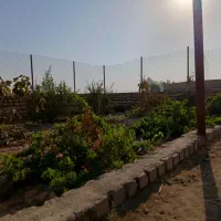 روستای طغرود بخش جعفریه|فروش زمین و ملک کلنگی|قم, نخودی|دیوار