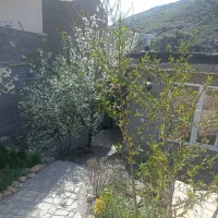 اجاره باغ ویلا