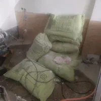 پلیت