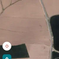 اجاره برای کشت سیب زمینی