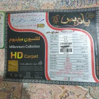 فرش نو کارکرده|فرش|رشت, ساغری سازان|دیوار
