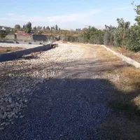 کارگر دامداری