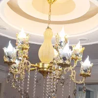 ۵شاخه ۱۰ شعله