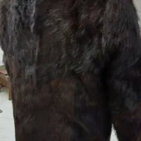 نیم پالتو اصل
