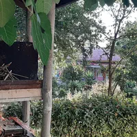 کلبه جنگلی سنتی روستایی دربست  بکروآرام  ویو|اجارهٔ کوتاه‌مدت ویلا و باغ|رامسر, |دیوار