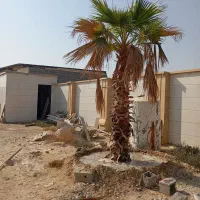 باغ . انبار . تالار|فروش دفتر صنعتی، کشاورزی، تجاری|بوشهر, |دیوار