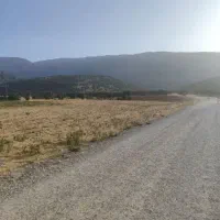 زمین کشاورزی سرمیل مناسب برای اشتغال زایی