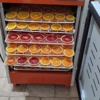 دستگاه میوه خشک کن|ماشینآلات صنعتی|مشهد, چاهشک|دیوار