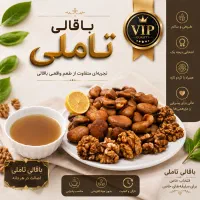 جذب همکار در باقالی تاملی پر انرژی
