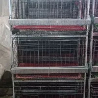 قفس مرغ تخم گذار|لوازم جانبی حیوانات|تهران, شهرک رضویه|دیوار