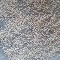 برنج قلوه|خوردنی و آشامیدنی|گوراب زرمیخ, |دیوار