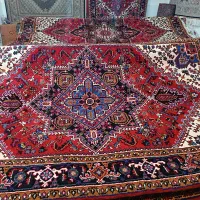 جفت شش متری اطراف هریس