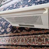 هود|هود|نقده, |دیوار