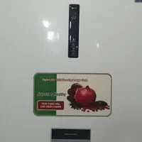 یخچال ماهیان