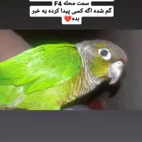 گرینیچیک گم شده