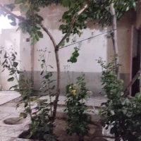 فروش زمین مسکونی دراوردکلو