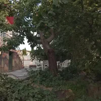 ۱۱۲۰ متر باغ هفت میوه سرحال سند شش دانگ کنتور کامل|فروش زمین و ملک کلنگی|دماوند, دماوند|دیوار