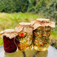 انواع سبزیجات و ترشیجات ارگانیک خانگی|خوردنی و آشامیدنی|تهران, اباذر|دیوار