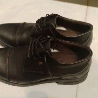 کفش نو سایز ۴۲
