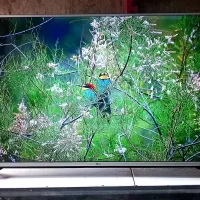 ال ای دی ۴۹،۵۰ اینچ الجی اصل کره ای درحدled lg|تلویزیون و پروژکتور|پاکدشت, حصار امیر|دیوار