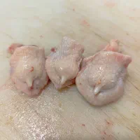 موت مرغ فروش عمده