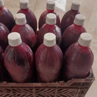 اب انار طبیعی کاشمر