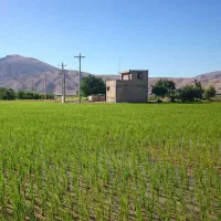 فروش زمین کشاورزی با تمام امکانات