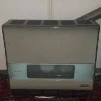 بخاری نیکالا سالم