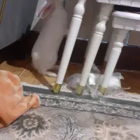 با سلام یک عدد خرگوش ۱۰ برای فروش