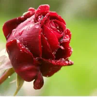 کار منزل