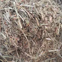 علف همه گیاه|لوازم جانبی حیوانات|دهگلان, |دیوار