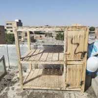 قفس کبوتر دو طبقه