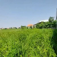 ۴۴۰ متر زمین مسکونی در شفت